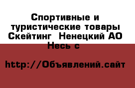 Спортивные и туристические товары Скейтинг. Ненецкий АО,Несь с.